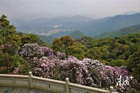 深圳的山|深圳十大名山 深圳最有名的山峰 值得爬的深圳名山排行。